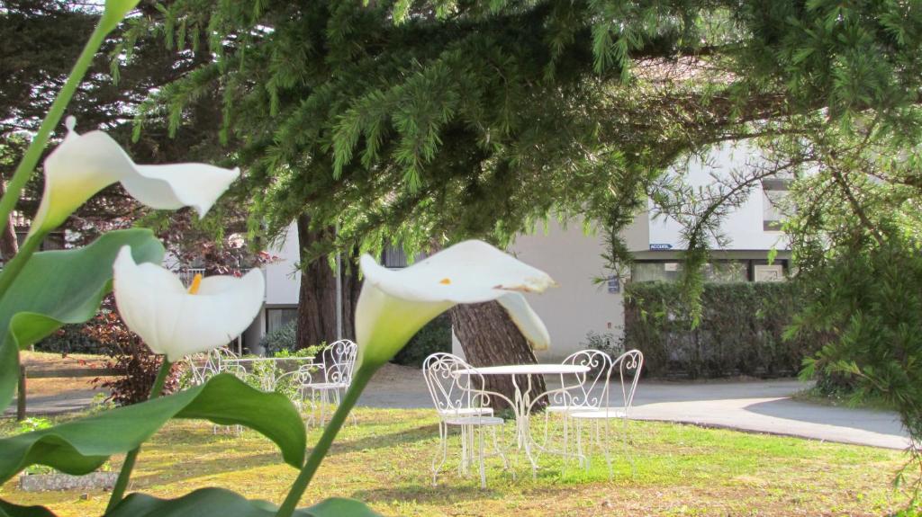 Arc En Ciel Oleron Hotel Saint-Trojan-les-Bains Exterior foto